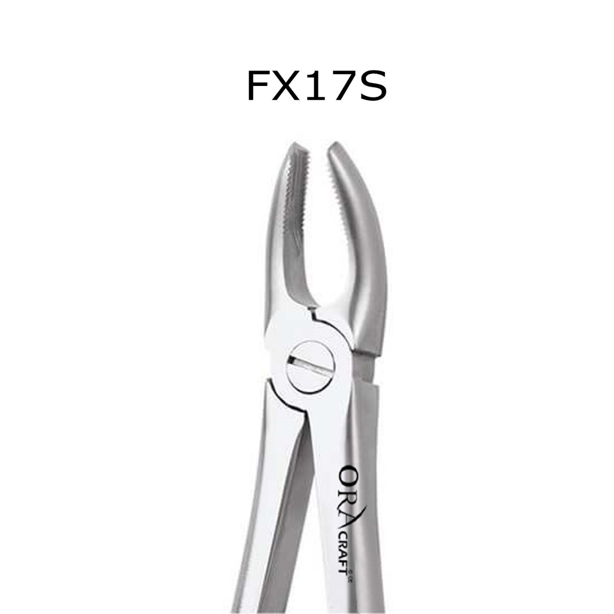 Oracraft  Extraction Forceps Standard