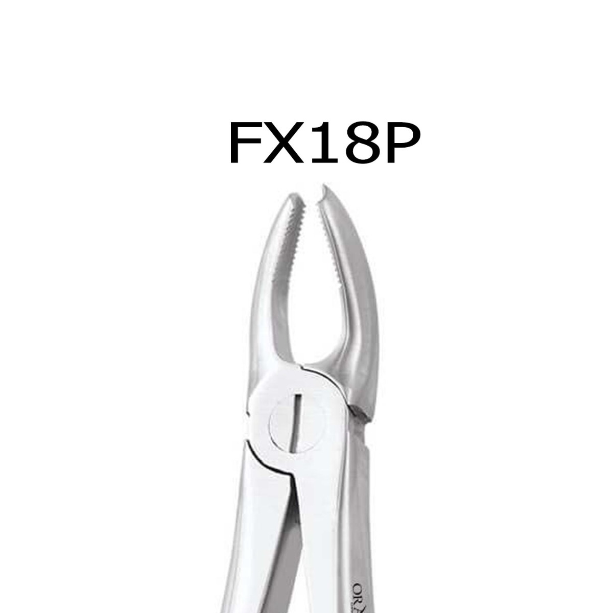 Oracraft Upper Molar Left Extraction Forcep - Premium (FX18P)