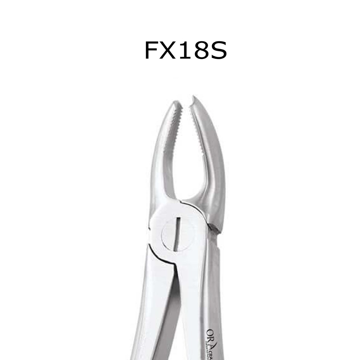 Oracraft Upper Molars Left Extraction Forceps - Standard (FX18S)