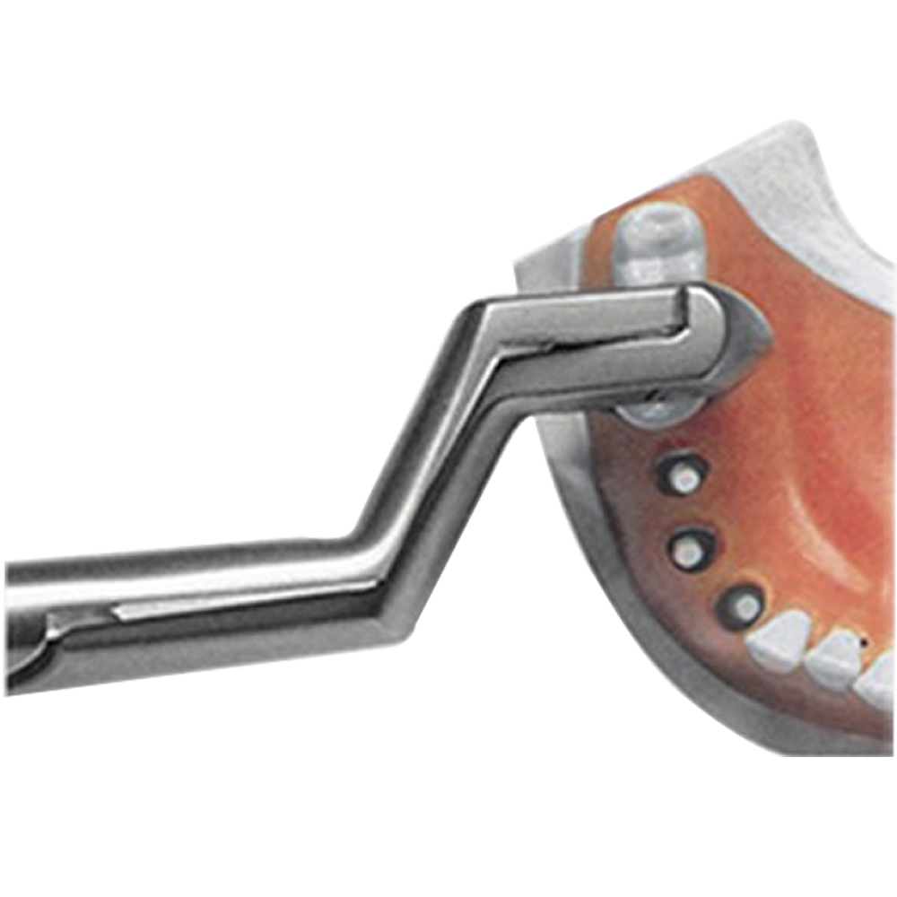 GDC Extraction Forceps Special Wisdom Routrier