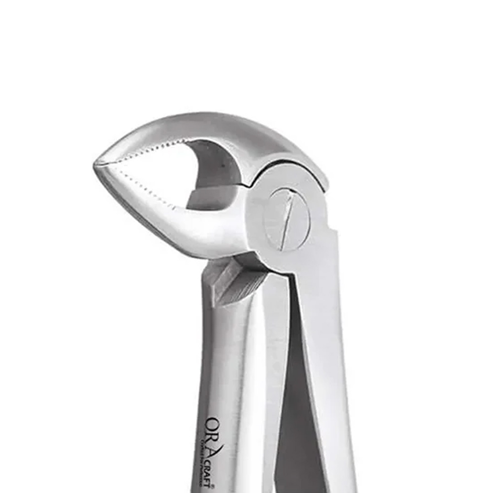 Oracraft Lower Roots Extraction Forceps - Standard (FX33S)