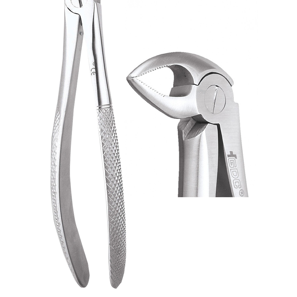 thumbnail image 2 of ODM #33 English Pattern Dental Extracting Forceps – Stainless Steel 2 of 3