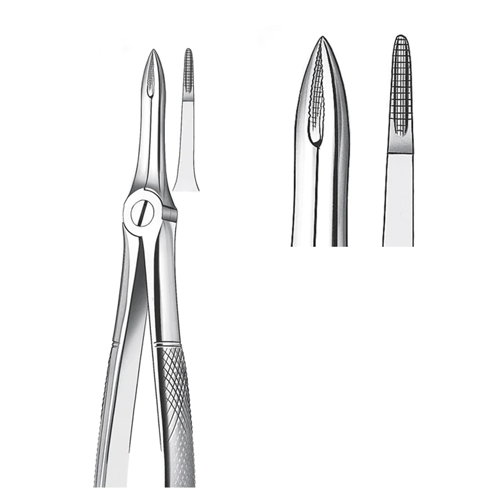 GDC Extraction Forceps Upper Roots - 41 Standard (FX41S)