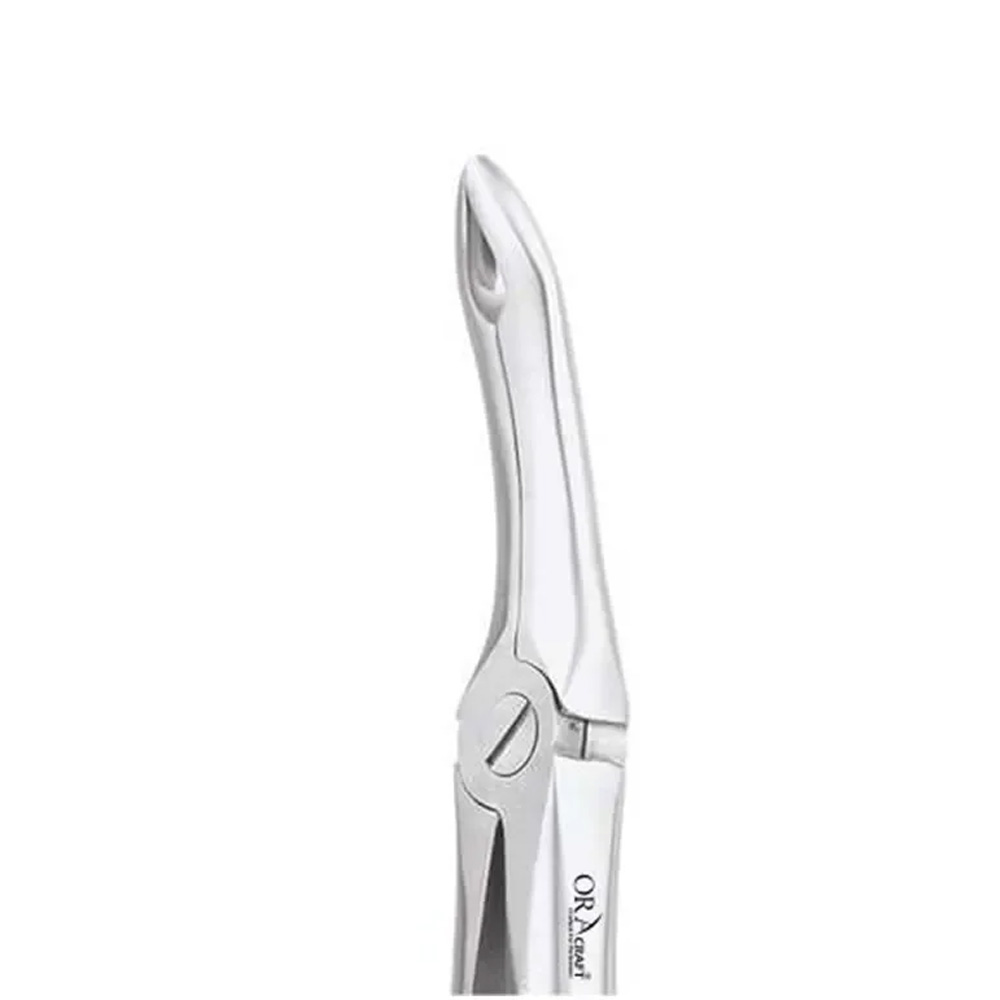 Oracraft  Extraction Forceps Standard