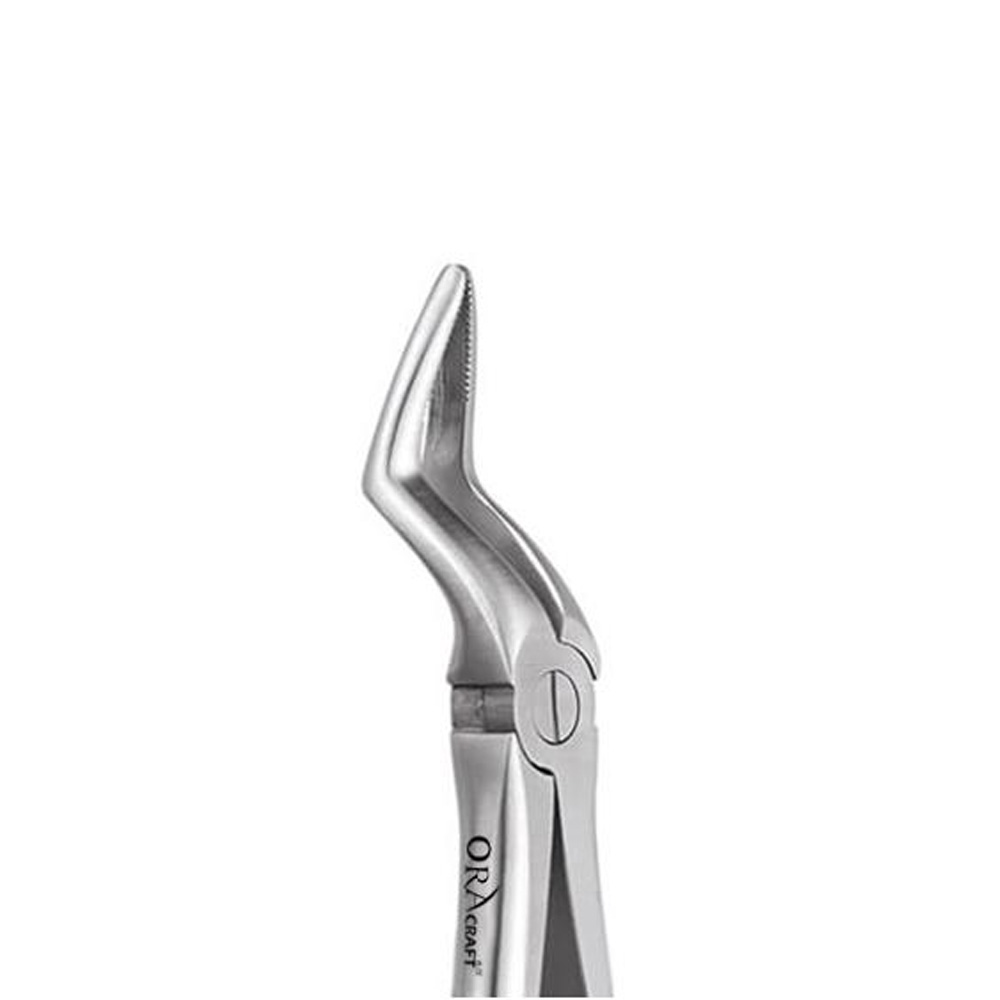 Oracraft Upper Roots Extraction Forceps - Standard (FX51S)