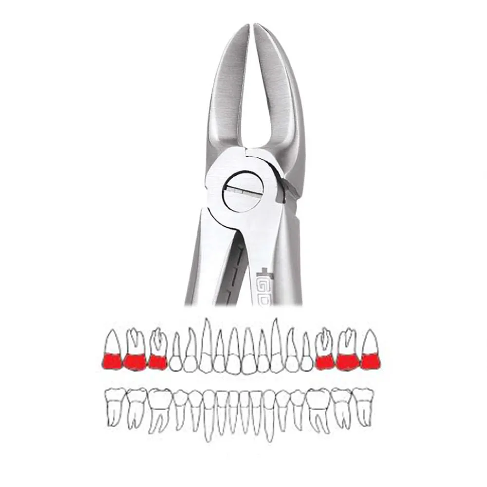 GDC Extraction Forceps Separating Upper Molars - 55 Standard (FX55S ...