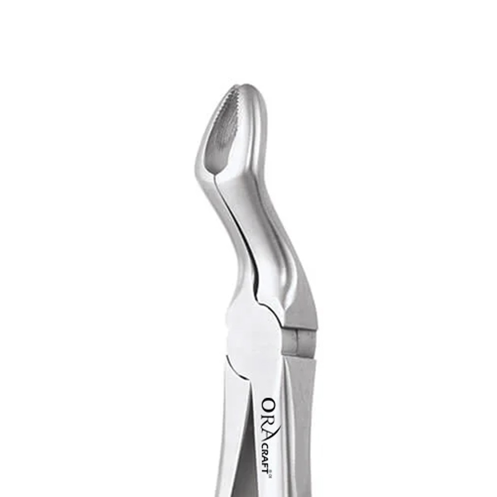 Oracraft  Extraction Forceps Standard