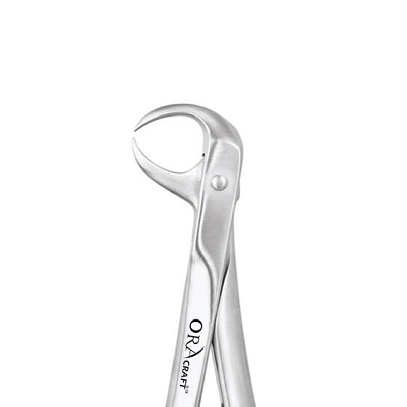 Oracraft Extraction Forceps