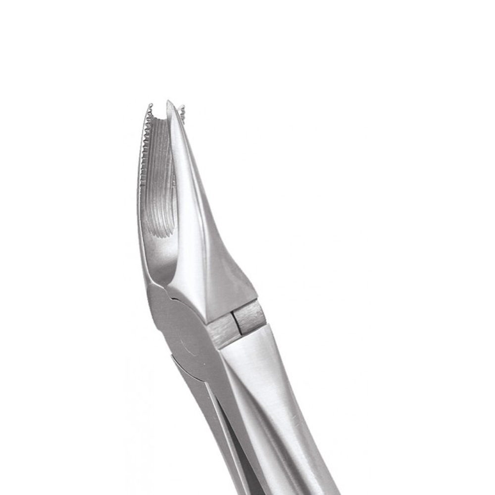 GDC Extraction Forceps Upper Molars Right Ergonomic- (FX89E)