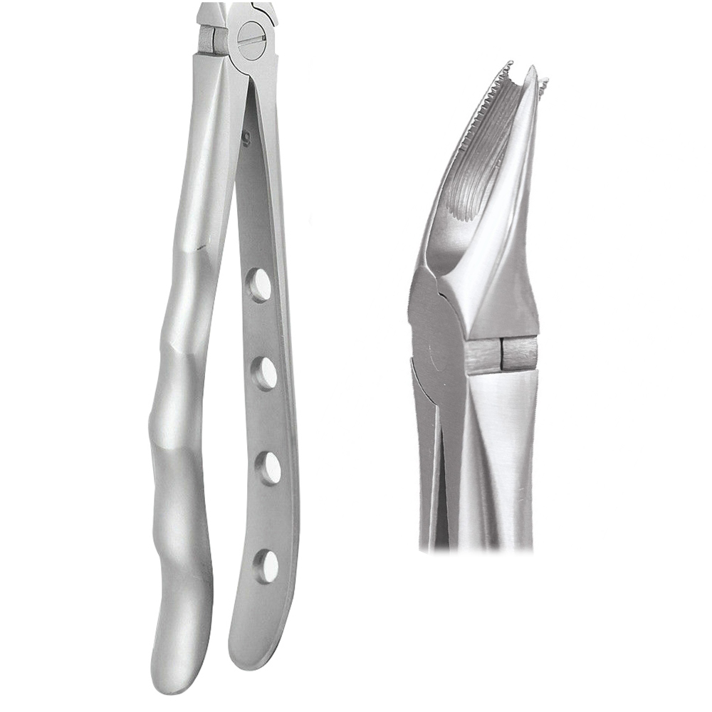 GDC Extraction Forceps Upper Molar Right Premium Cowhorn- FX89P