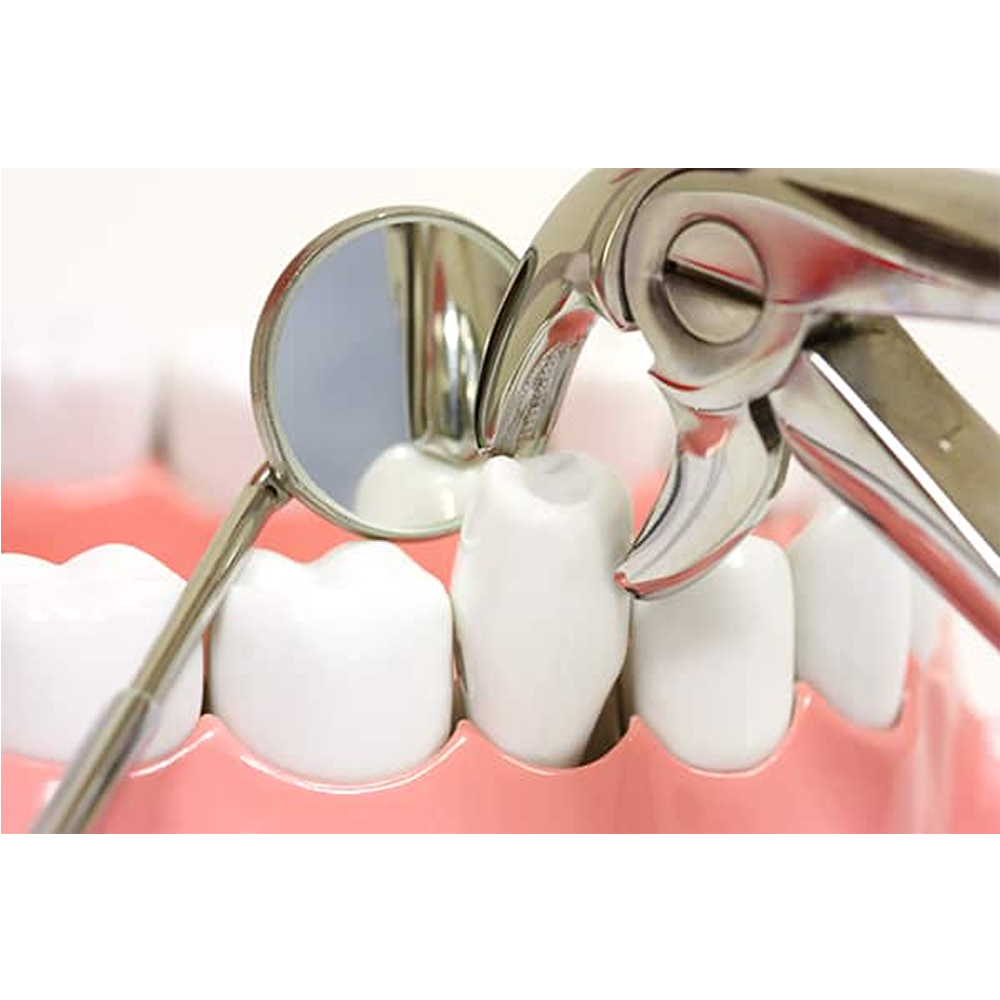 GDC Extraction Forceps Ergonomic In Pouch Premium (EFEP12)