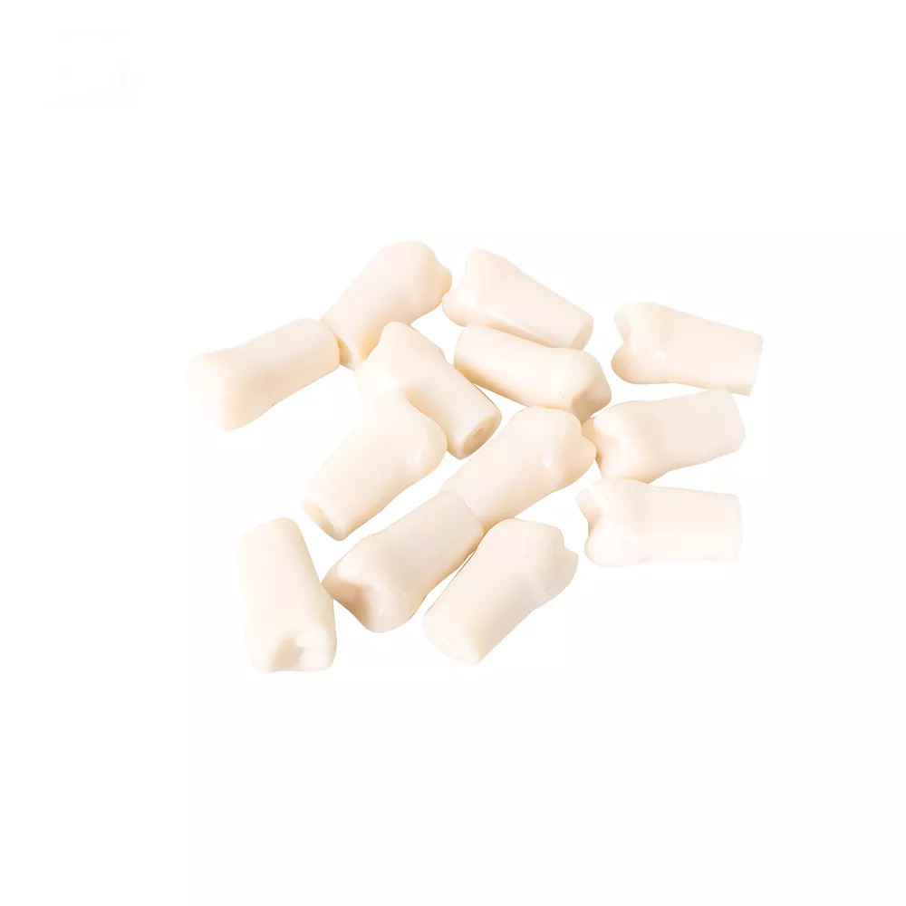 API Typodonts Individual -Pedo Size