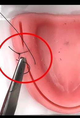 Fox Mayo Scissors Straight 20 cm / 8" - MS-003