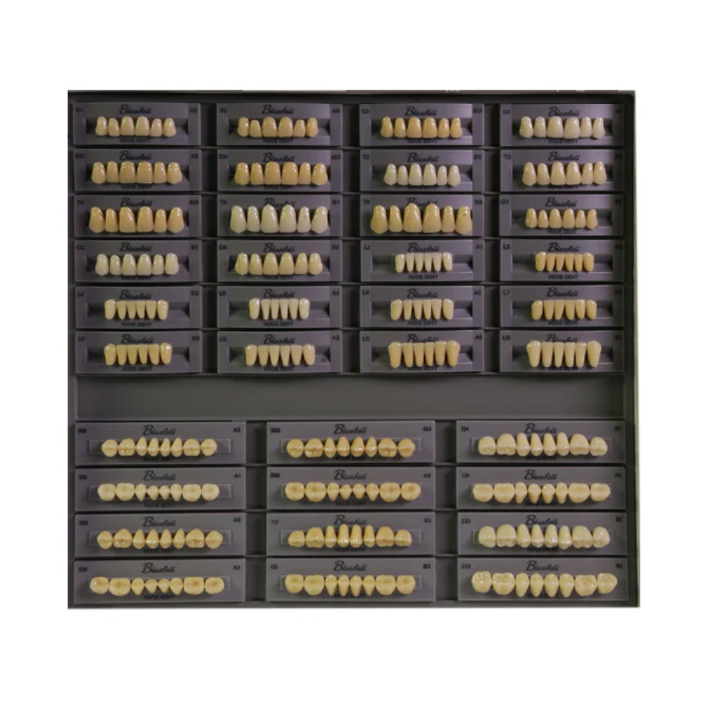 Huge Dental Bluebell Acrylic Denture Teeth A1 (Set of 28)
