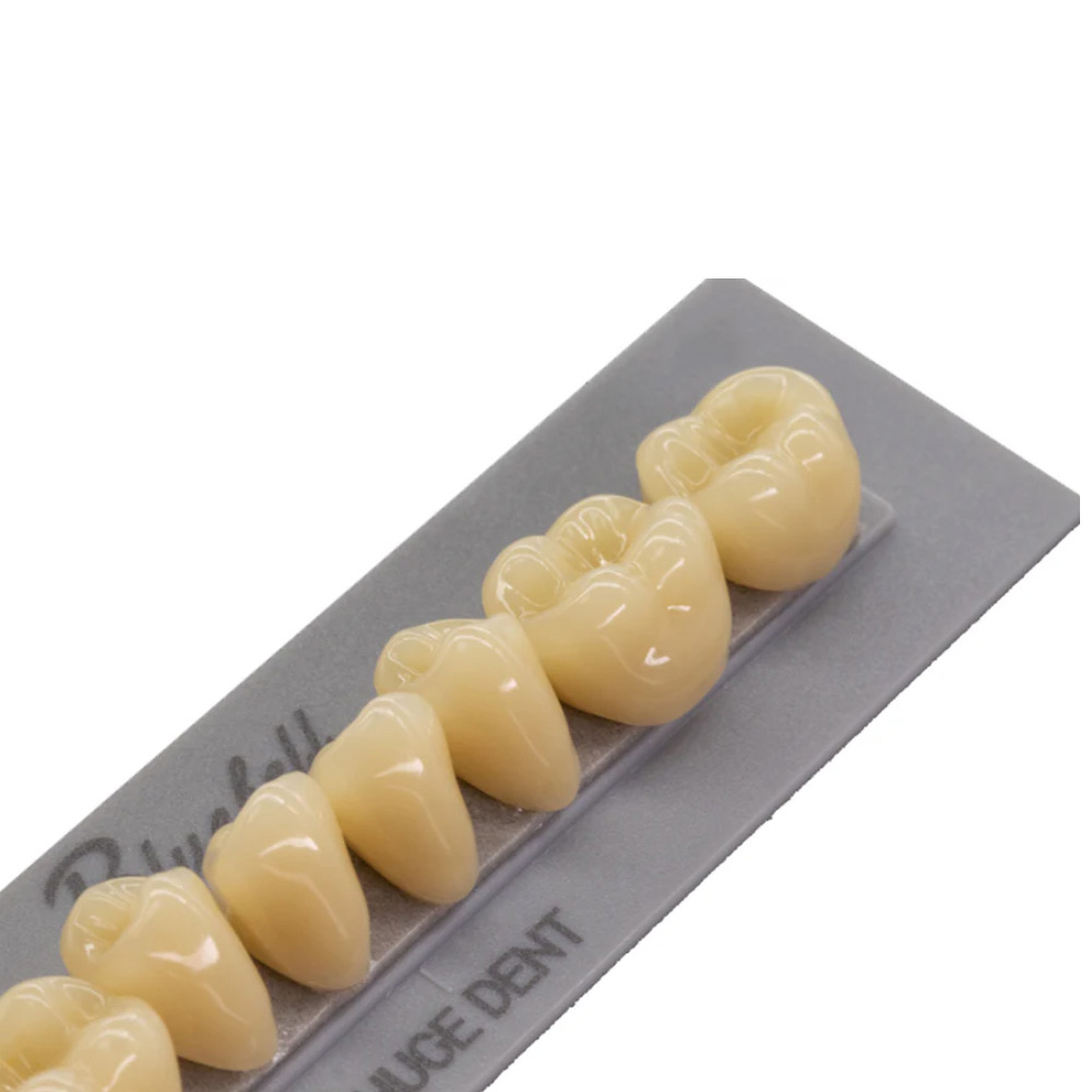 Huge Dental Bluebell Acrylic Denture Teeth A1 (Set of 28)