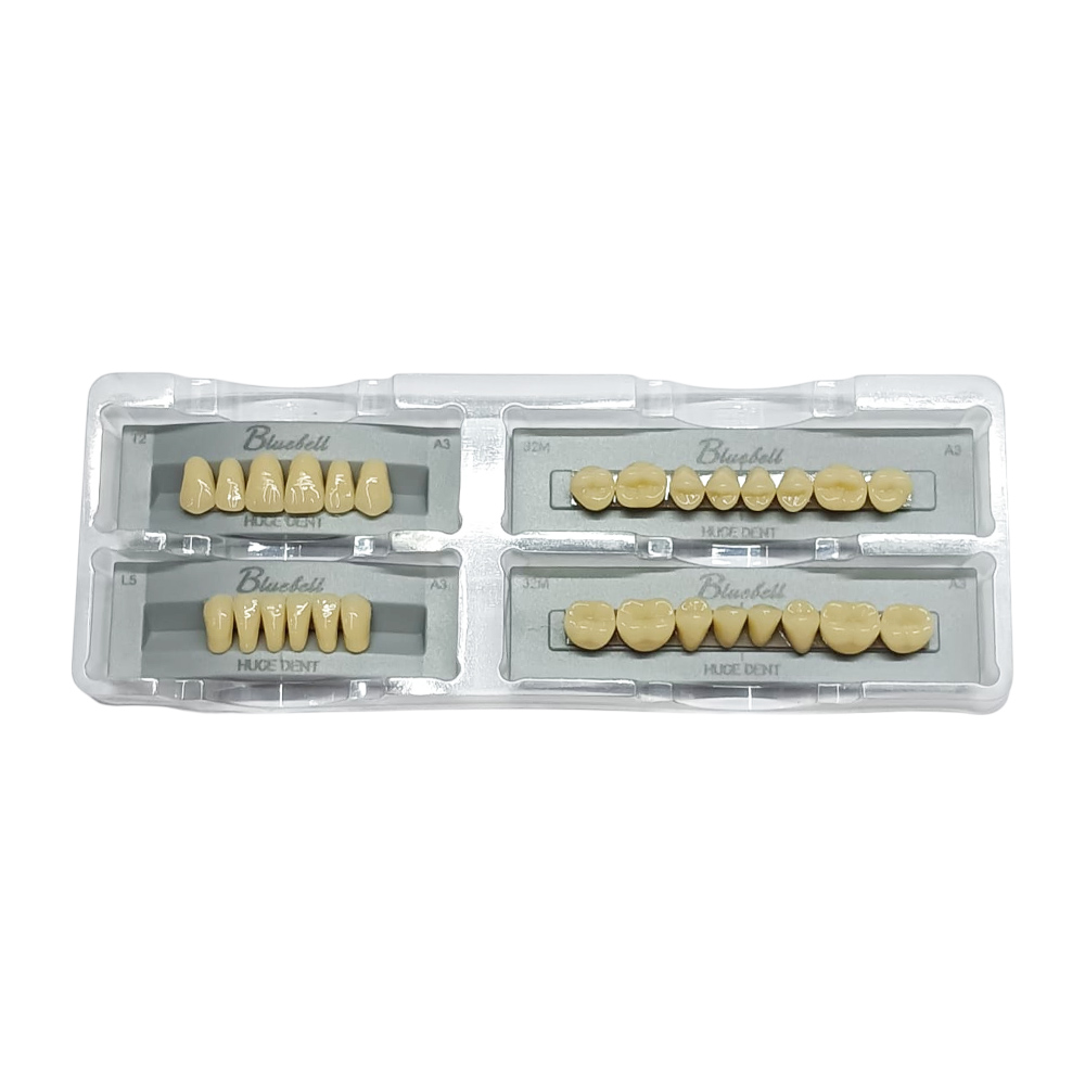 Huge Dental Bluebell Acrylic Denture Teeth T2 -A3 (Set of 28)