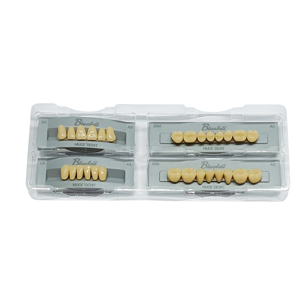 Huge Dental Bluebell Acrylic Denture Teeth O1 -A3 (Set of 28)