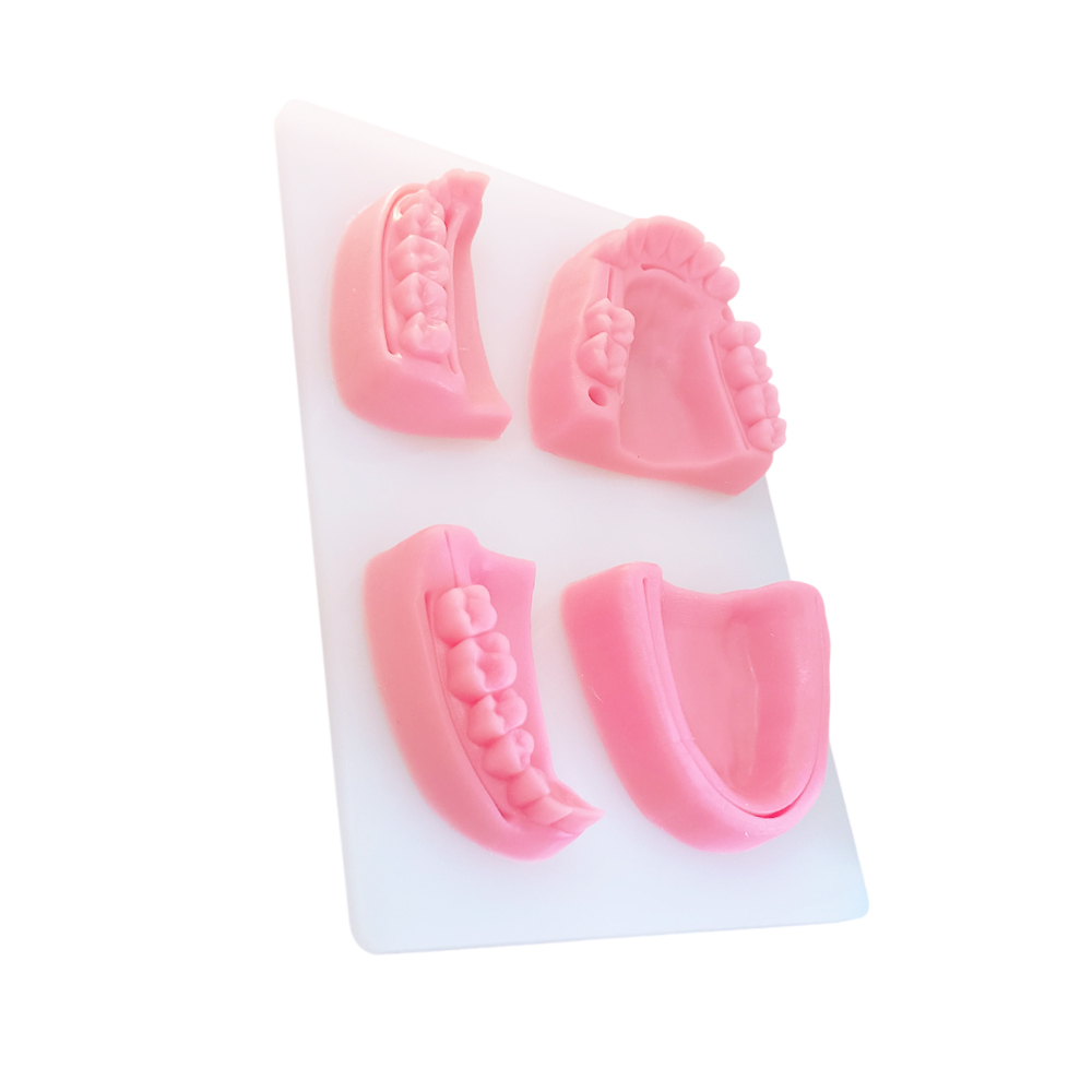 Dental Suture Practice Kit - Type II