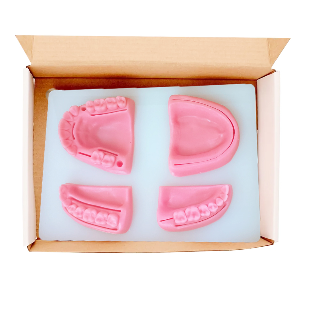 iDENTical Dental Educational Suture Model	