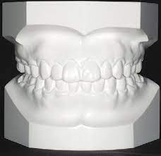 Cotisen Base Former - Tray Base