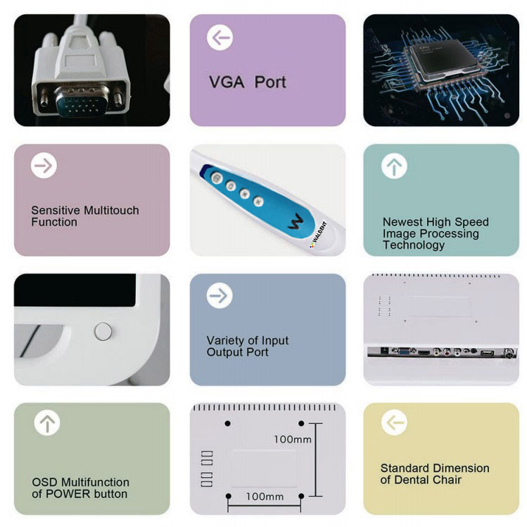 Waldent Intra Oral Camera with Screen - Ergo (10 MP)