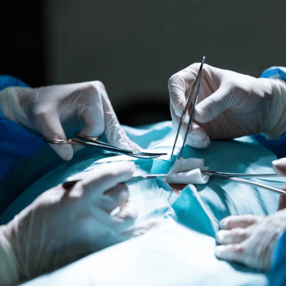 Oracraft Kelly Scissors