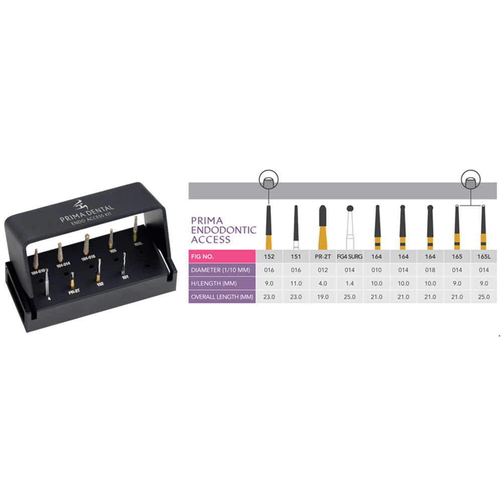Prima Dental Endodontic Access Kit