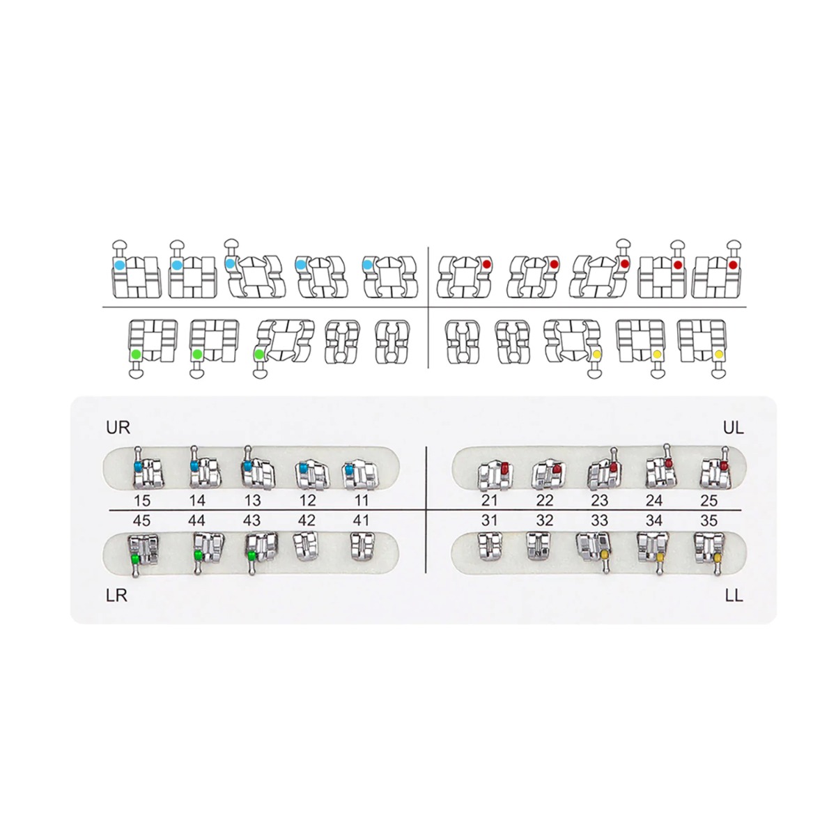 Waldent Metal Bracket Kit MBT 022 Slot