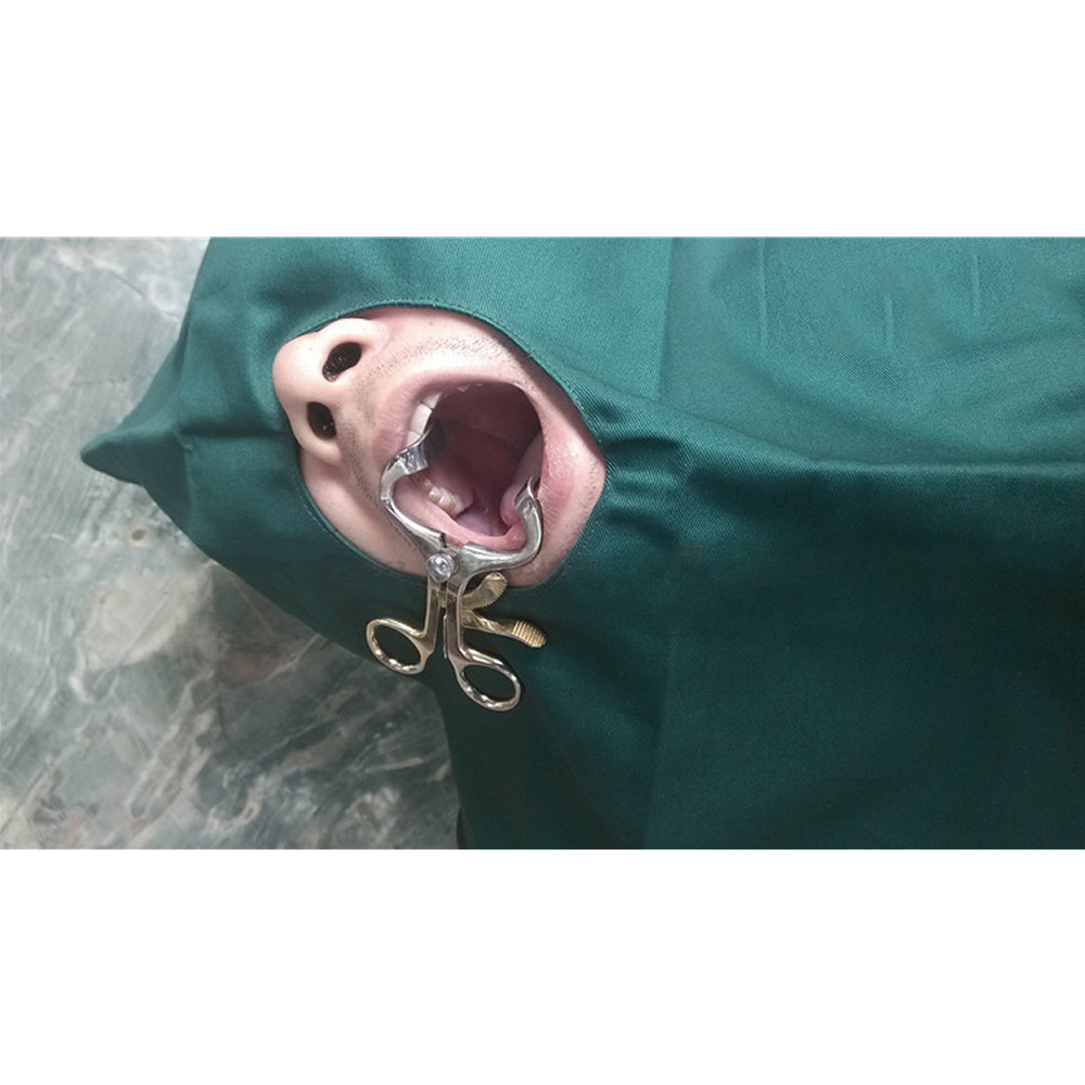 GDC Mouth Gag Retractors Molt Large 140mm (Mga)