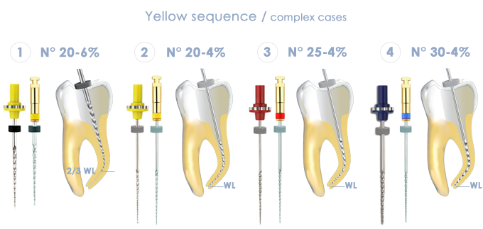 Micro Mega Hero Shaper Individual Classic Rotary Files