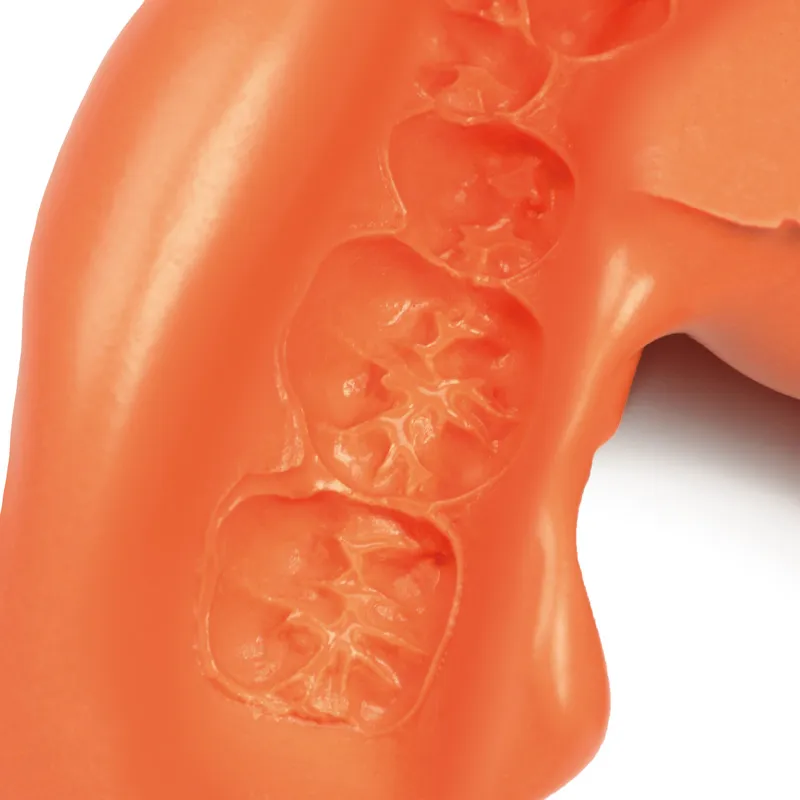 Zhermack Neocolloid Alginate Impression Powder - 500g (C302205)