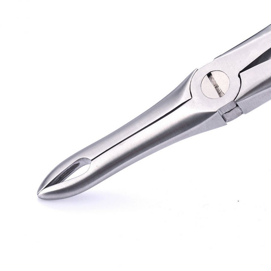 GDC Extraction Forceps Upper Roots - 41 Standard (FX41S)