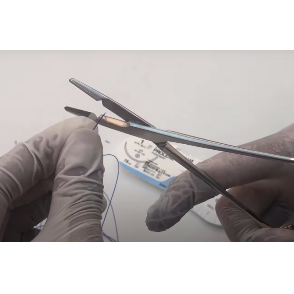 GDC Needle Holder Olsen-Hegar With Scissors (17cm) (Nhoh)