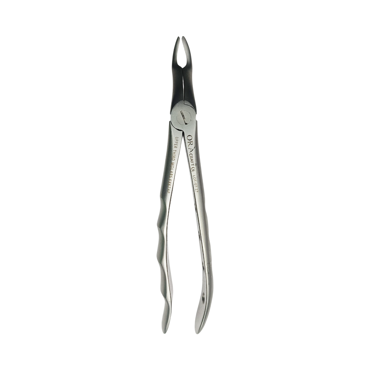 Oracraft Upper Third Molars Extraction Forceps - Premium (FX67P)