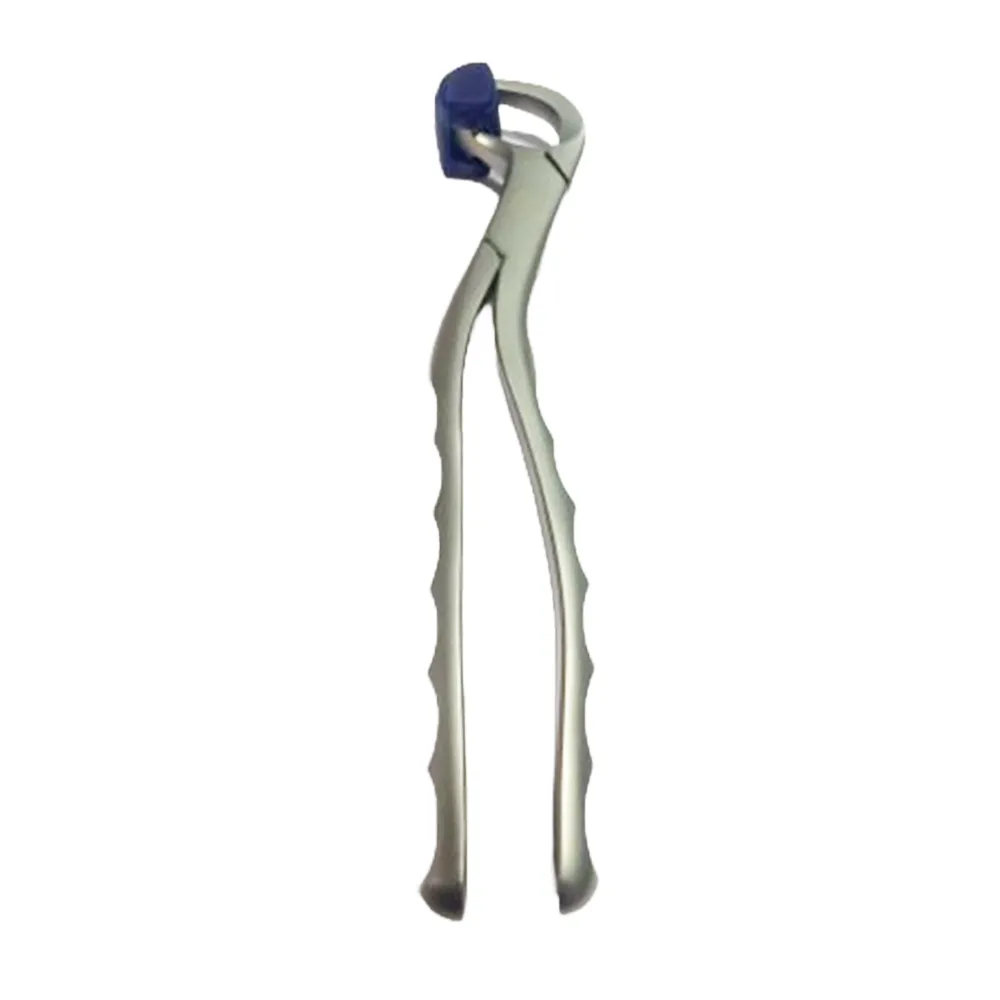 GDC Extraction Forceps Upper Right Physical (Pafx100ur)