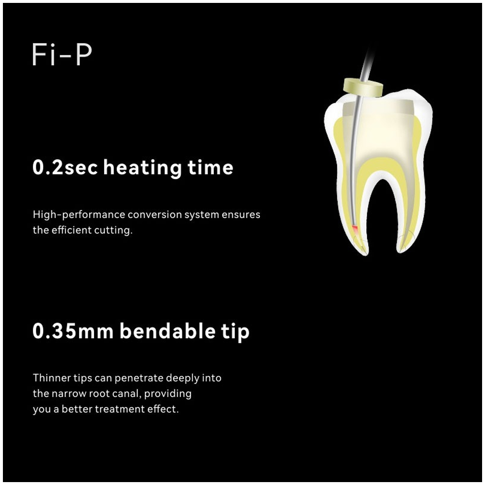 Woodpecker Fi-P Obturation Pen Tips (Pack of 1)