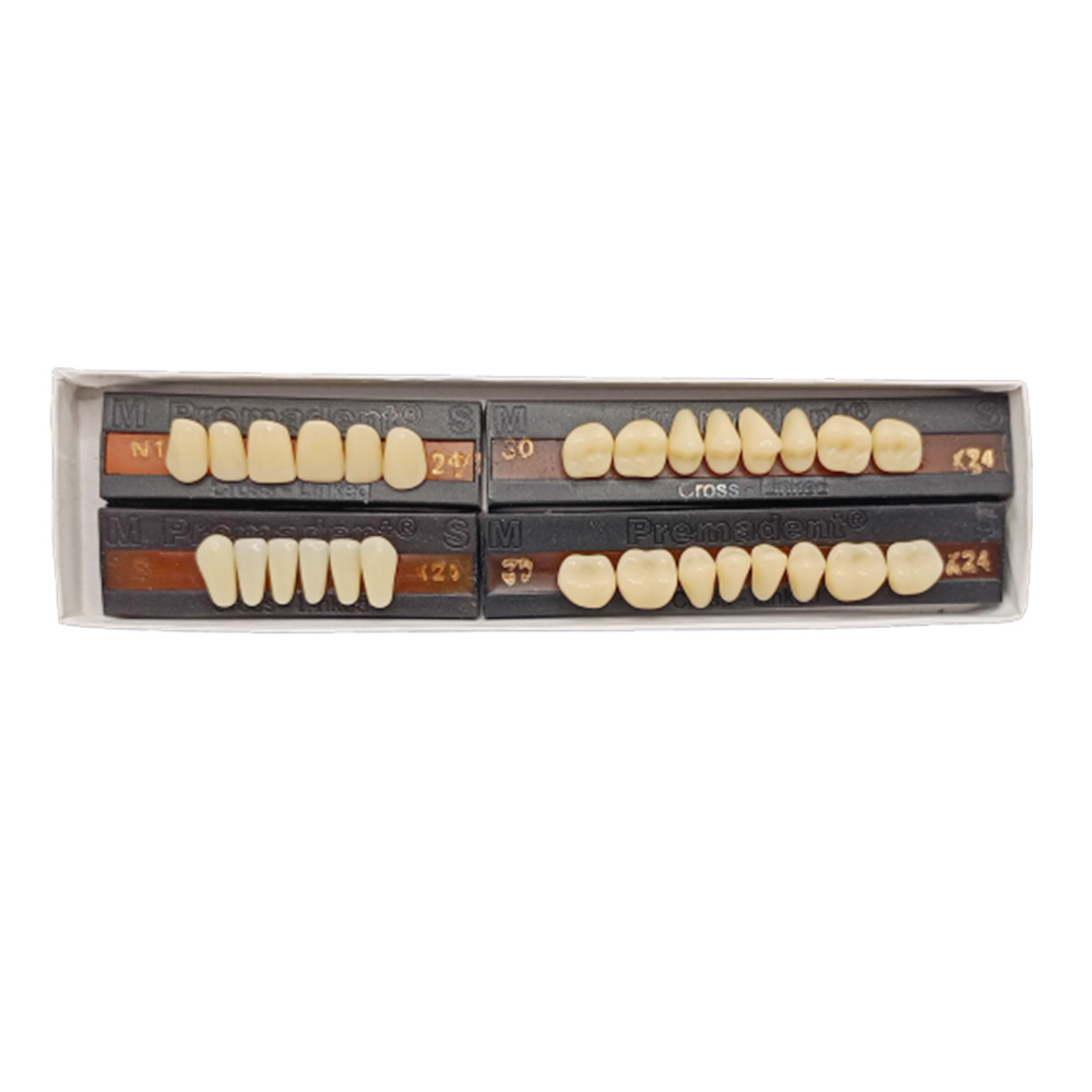 Premadent Teeth Set -N1-24