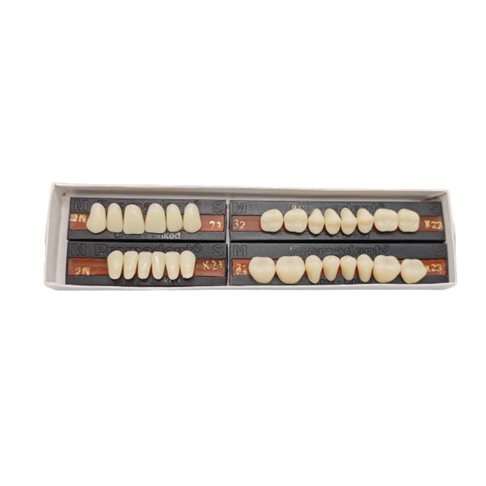 Premadent Teeth Set -N2-23