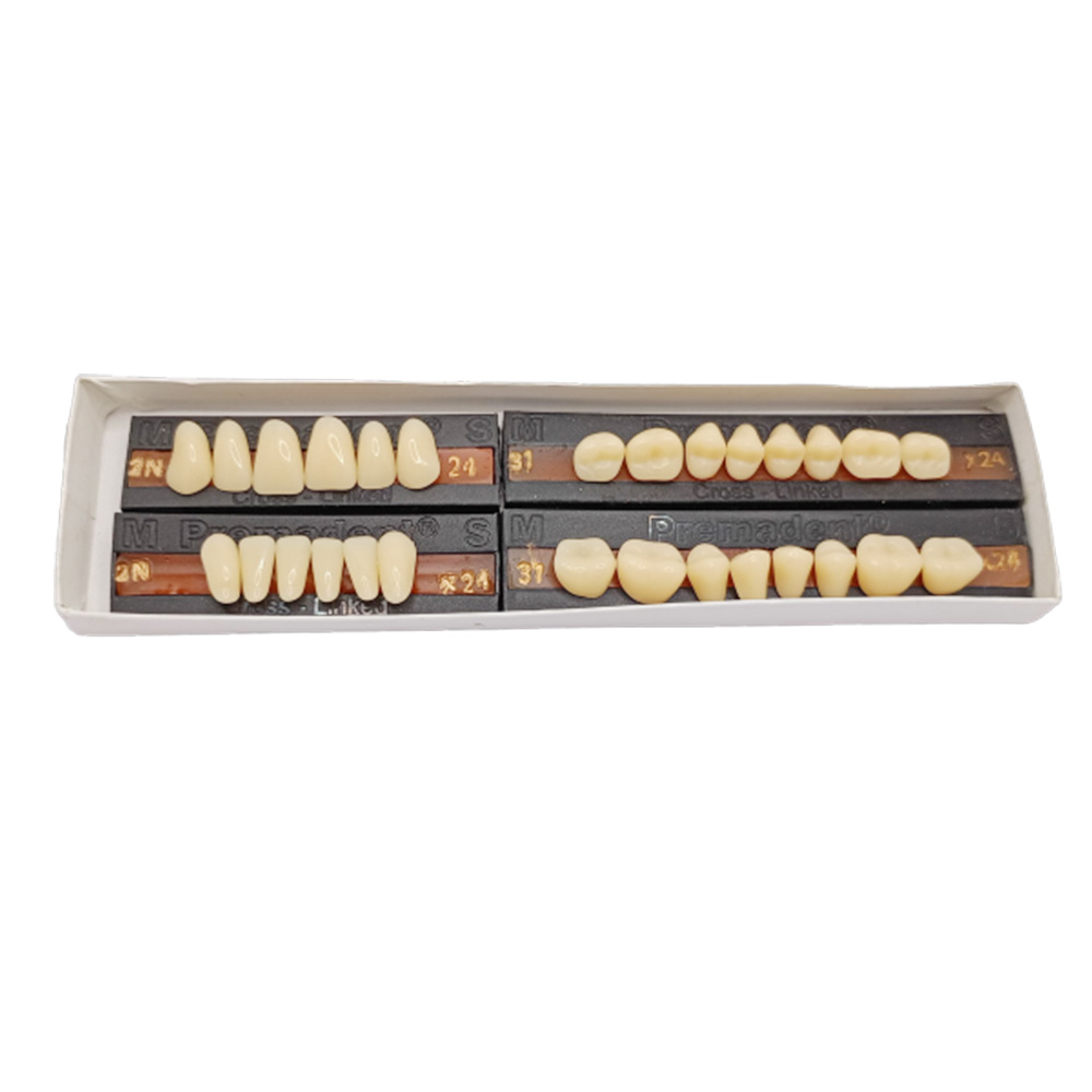 Premadent Teeth Set -N2-24