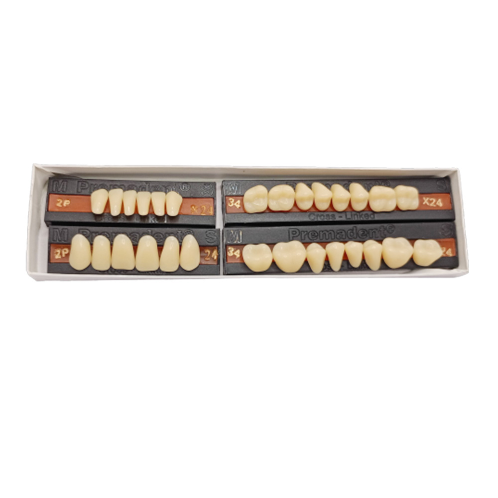 Premadent Teeth Set -P2-24