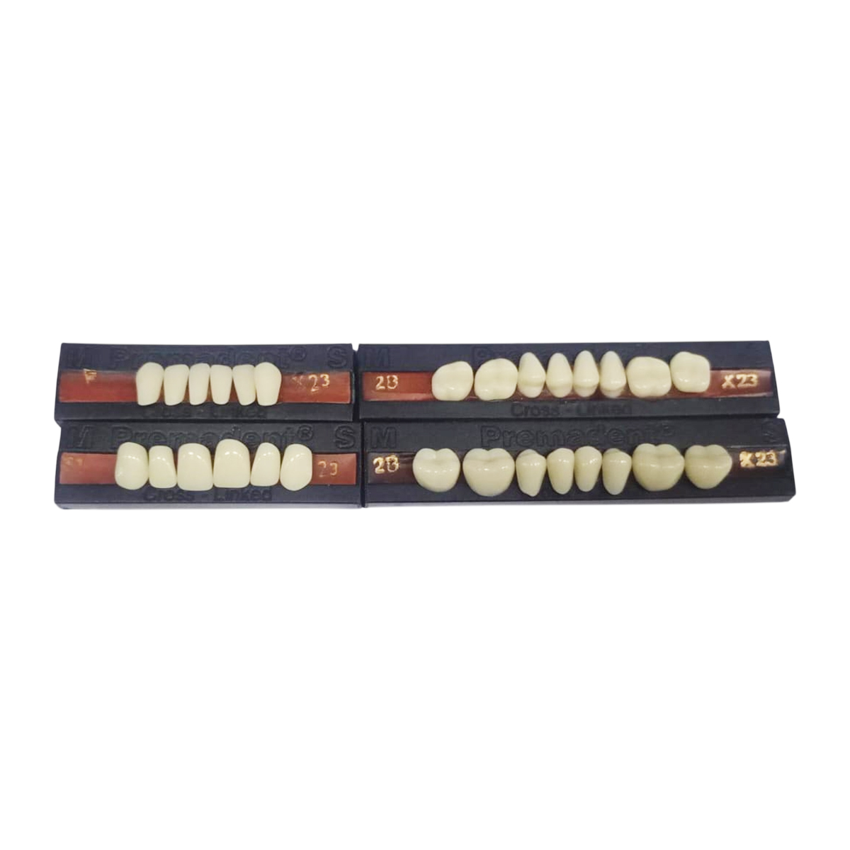 Premadent Teeth Set -S1-23