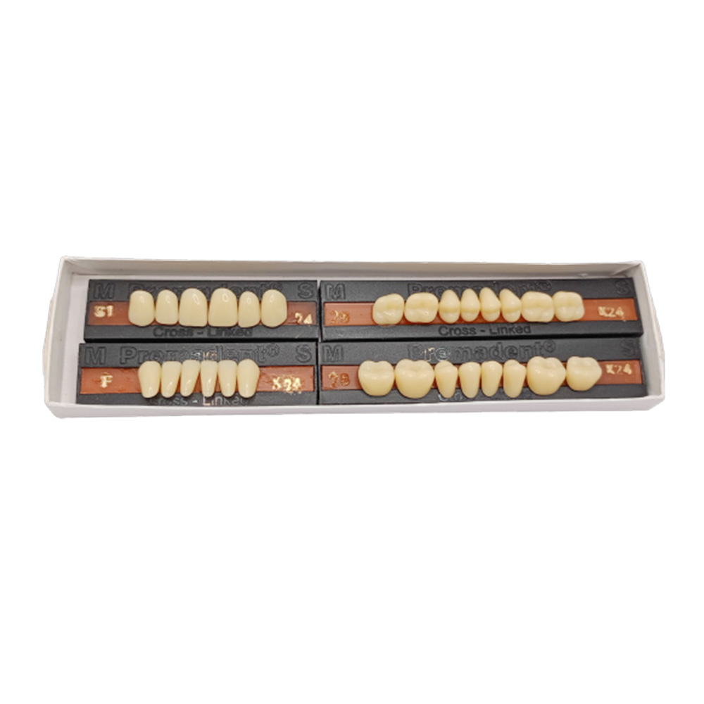 Premadent Teeth Set -S1-24