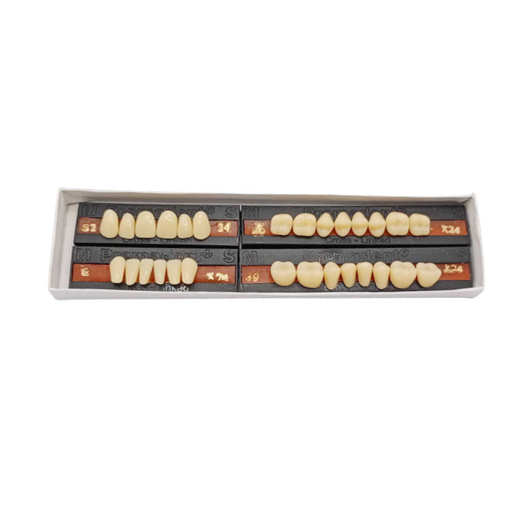 Premadent Teeth Set -S2-24