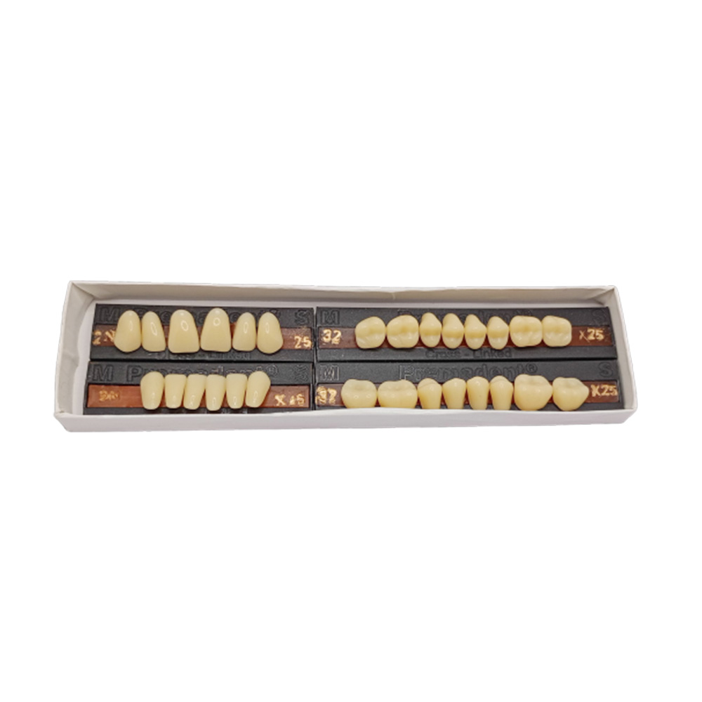 Premadent Teeth Set -N2-25