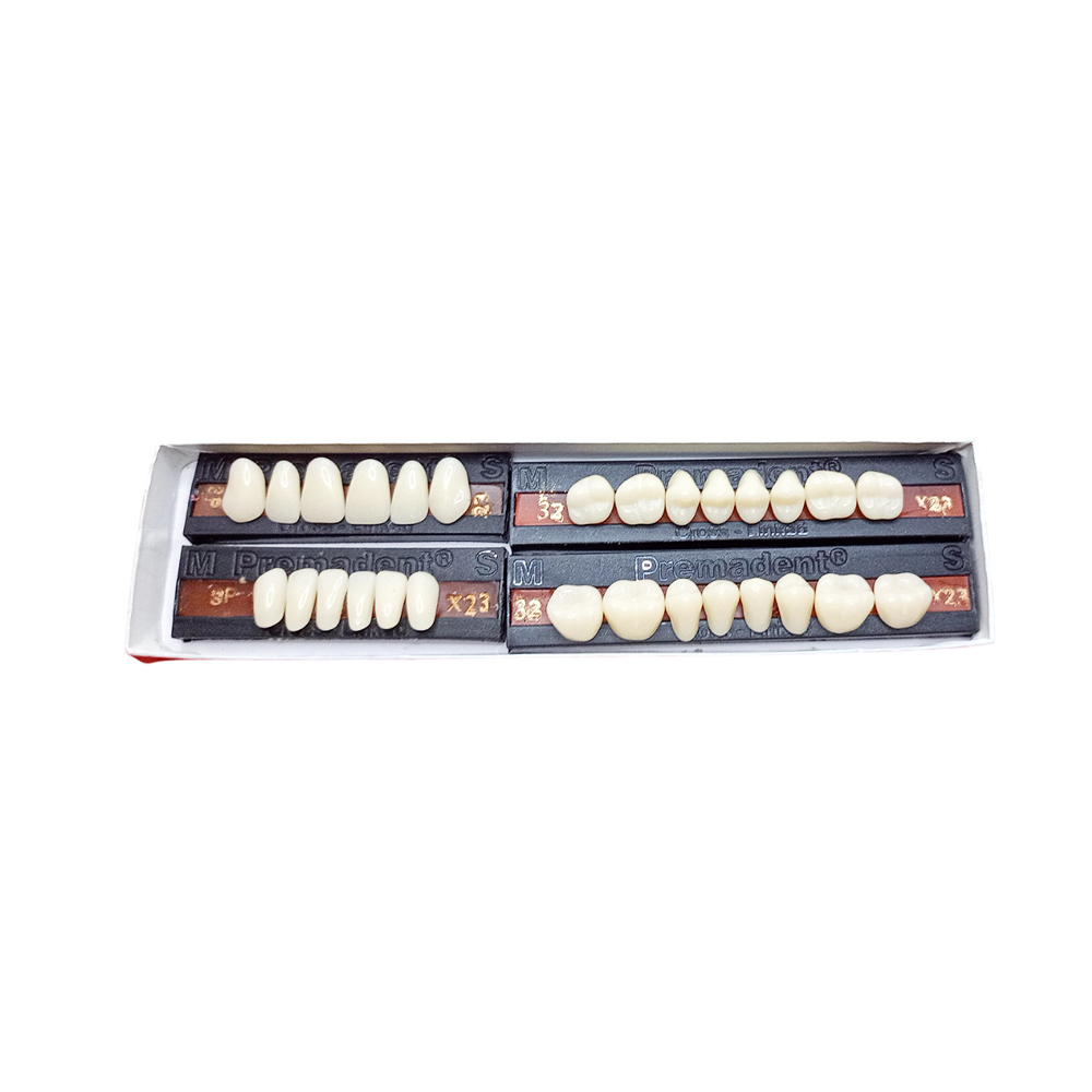 Premadent Teeth Set -P3-23