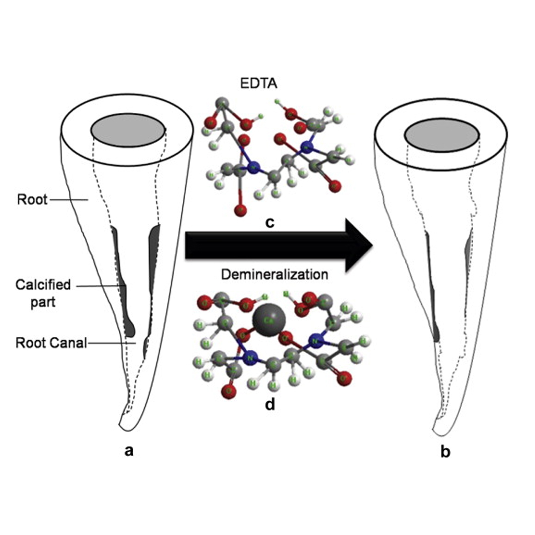 Prime Dental Rc Help