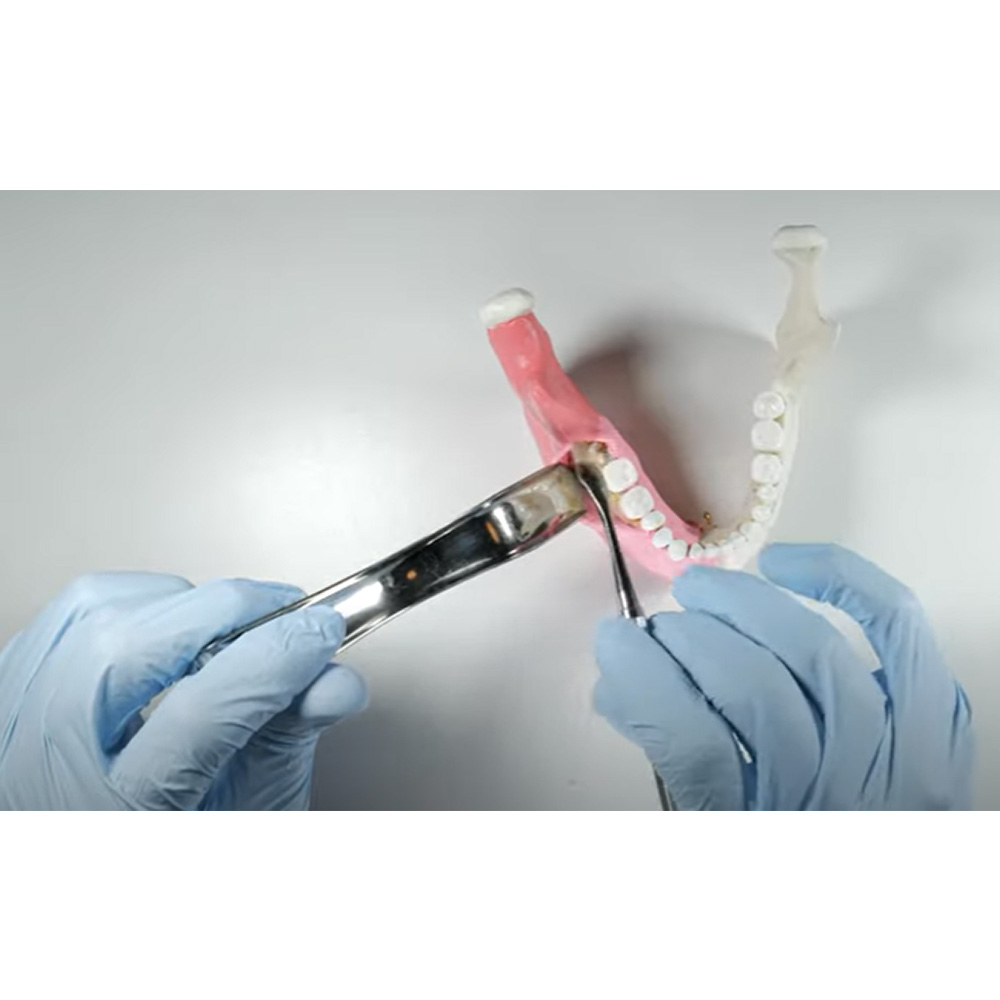 GDC University Of Minnesota Retractor (140mm) CRM