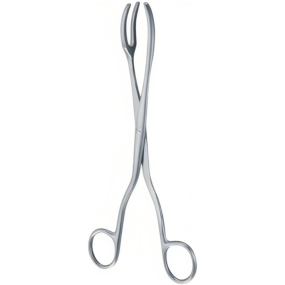Oracraft Rogge Forceps (RF20)