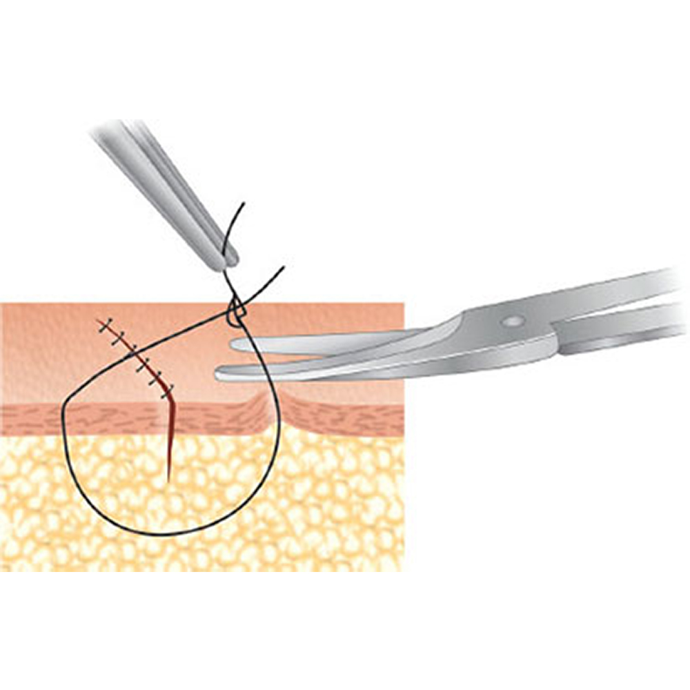 GDC Scissors Iris - Curved (11.5cm) (S18)