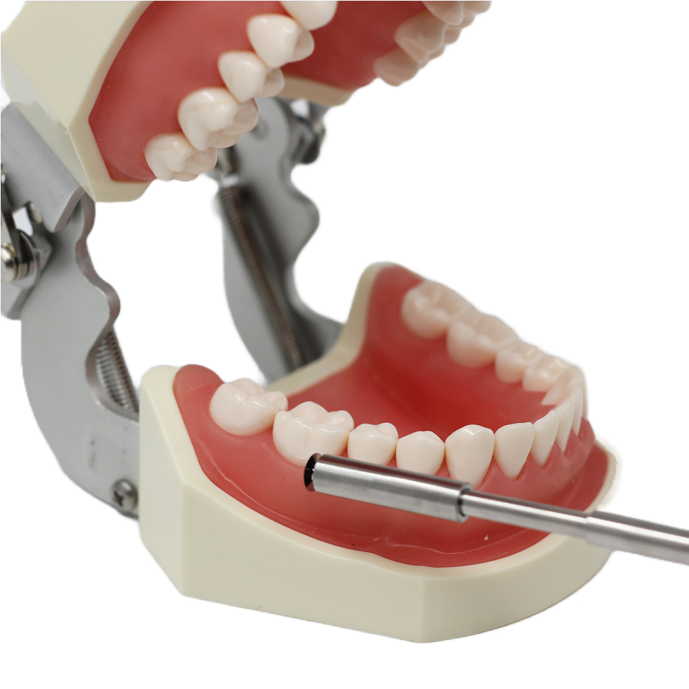 Julldent Bone Scraper With 2 Blades and Refills European Design